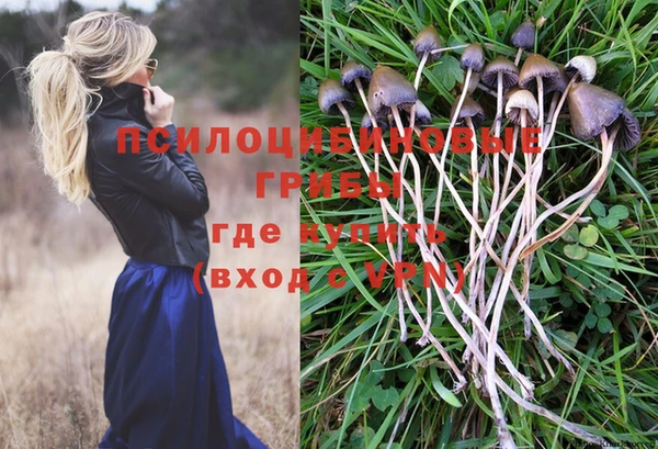 бутират Нязепетровск
