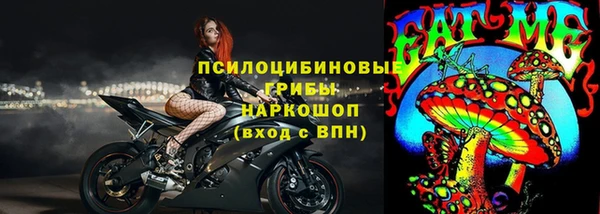 мдпв Няндома